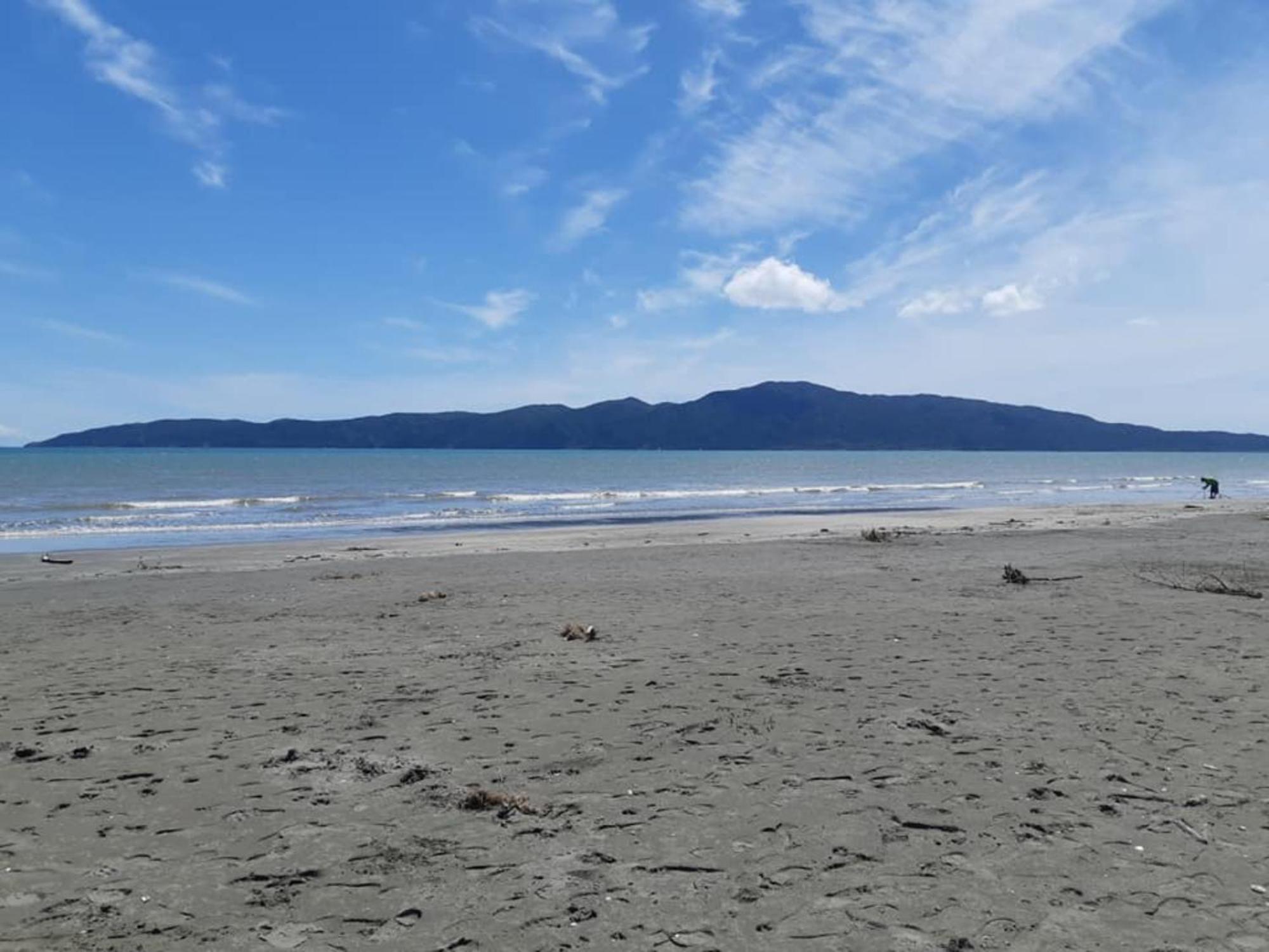 Raumati Guest House Paraparaumu Luaran gambar